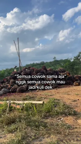 #sawit #sawitontiktok 