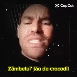 #amintire #CapCut #fyp #foryou #foryoupage 