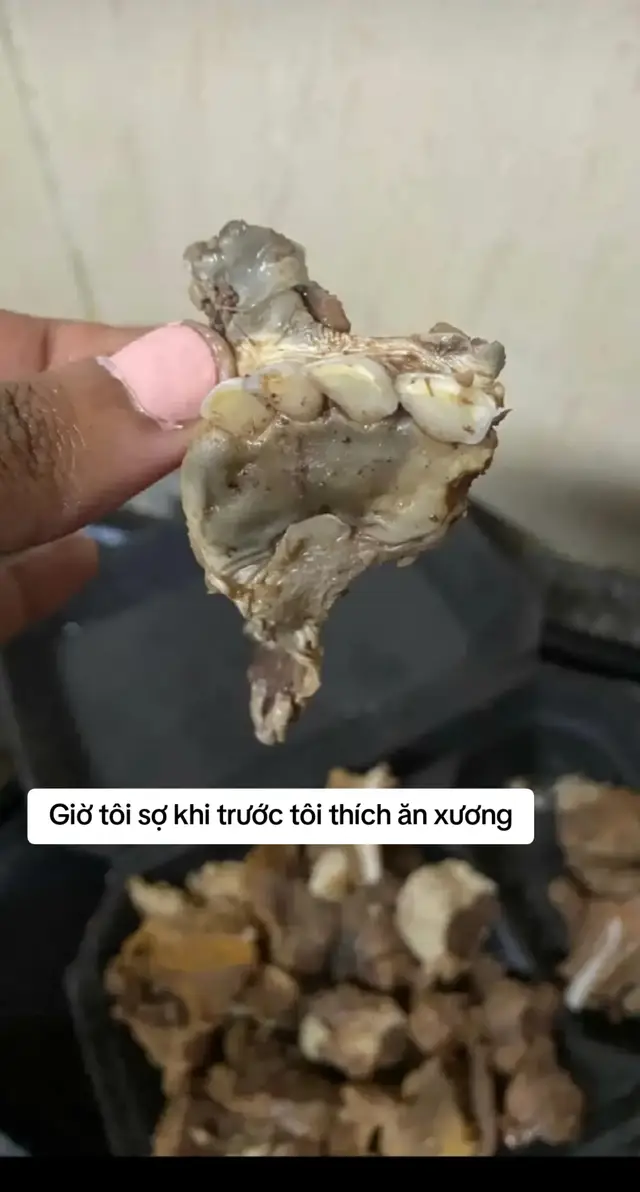 Ai đã từng ăn xương ăn thịt thì nên bỏ đi