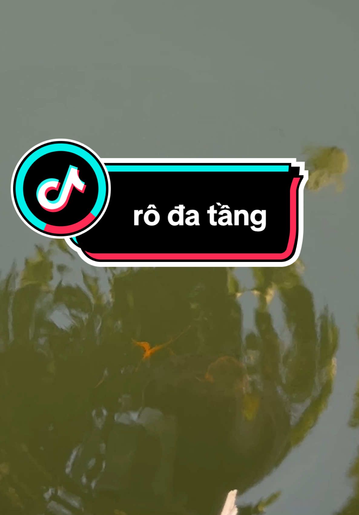 Hương Liệu Câu Rô Phi. Rô Đa Tầng 200ml #cauca #caucagiaitri #ngovanquan68 