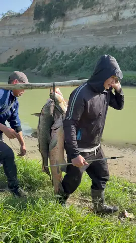 Phải biết câu🤣🤣🤣 #dammecauca #sanhangtramden #momthu 