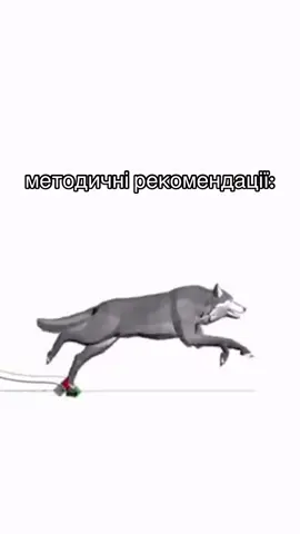 тгк: псевдоюридичний блог⚖️❤️🕵🏼‍♀️🫆 #курсоваробота #юрфак #юрист #рек #студент 