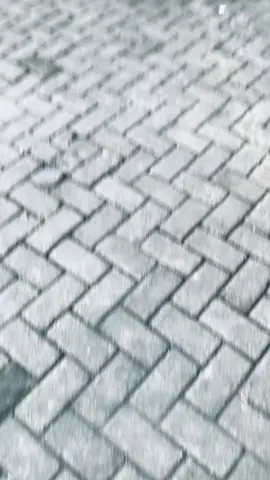 #beatdeluxe #beatdeluxemodifikasi #fyp #foryou #foryoupage 