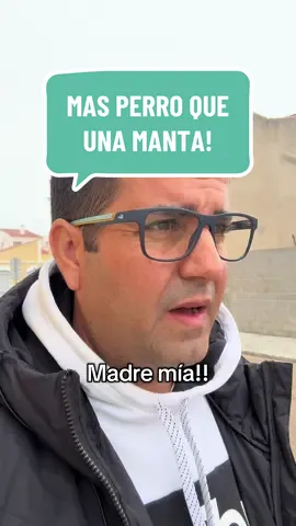 Más perro que una manta! #parati #viral 