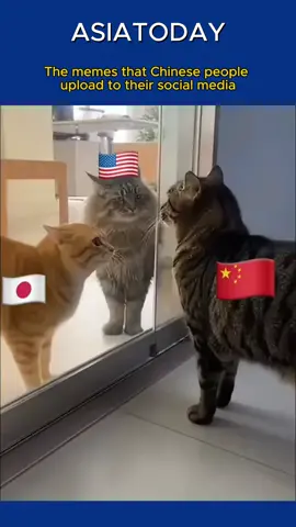 The memes that Chinese people upload to their social media. Is it accurate?