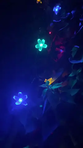 Không cần phải bật tắt cứ để chế độ auto là đêm tự động bật, ngày tự động tắt và sạc #huynhkimphai #denled #denledhoaanhdao #denlednangluongmattroi #phukientrangtritet 