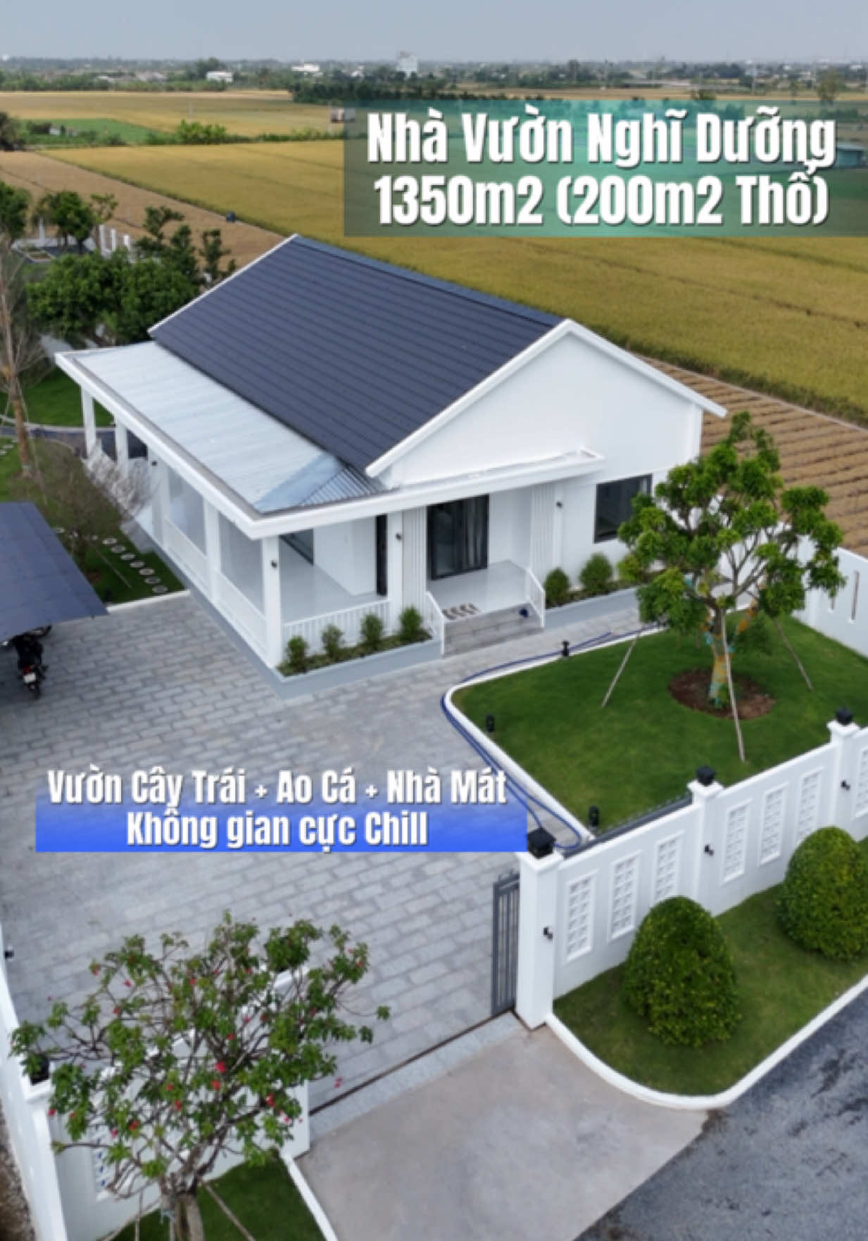 Ra mắt Nhà Vườn Nghĩ Dưỡng siêu Chill tại Gò Công Tây, sỡ hữu DT 1350m2 có 200m2 thổ, pháp lí shr giá 4.5tỷ thương lượng 💎 Cách ĐT 872b chỉ 100m, xe Oto di chuyển thuận tiện! LH đi xem ngay: 039.585.3939 / 078.5555.688 (Yến Khương) #nhavuonnghiduong #bdstiengiang #nhavuon #yenkhuongbds #huyentrangthaibds 