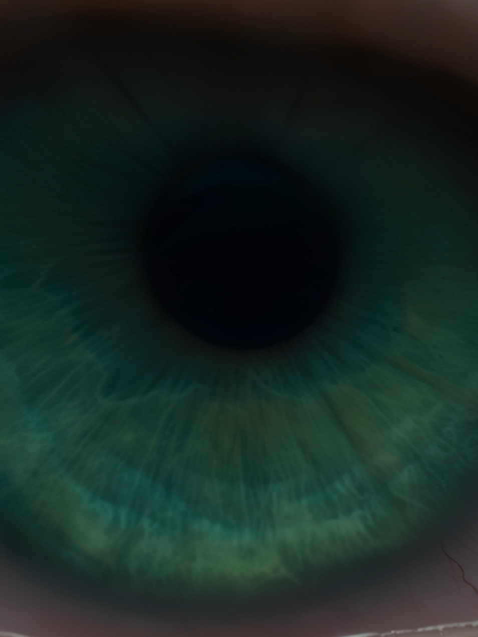 ты знаешь для чего родился сильнее? #gojousatoru #jujutsukaisen #animeedit #anime #fyp 