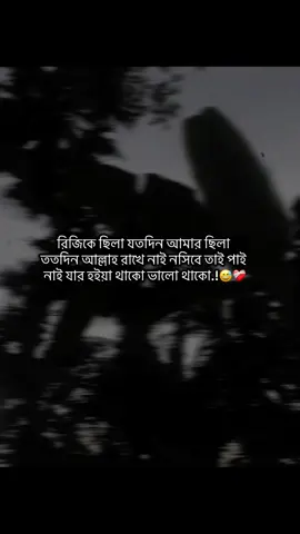 রিজিকে ছিলা যতদিন আমার ছিলা ততদিন আল্লাহ রাখে নাই নসিবে তাই পাই নাই যার হইয়া থাকো ভালো থাকো.!😅❤️‍🩹