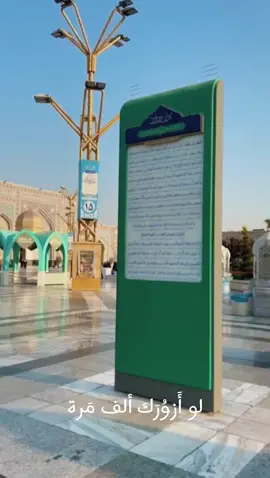 لو زورك الف مره🥹🥹🥹🥹 #fyp #مشهد #الامام_الرضا_عليه_السلام #explore 