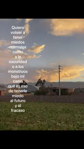 #fyp #peru #miedo #fracaso #futuro 