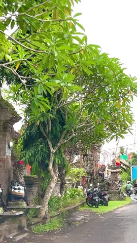 Desa Keramas sore ini😍 #desakeramas #gianyar #shonjibalitour #jalanjalan #bali 