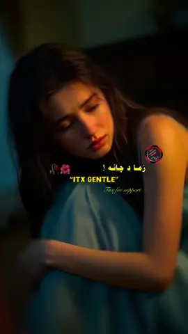 زما د چانہ گلہ نشتہ #viralvideo #viralvideo #fypシ゚viral #viralvideo 