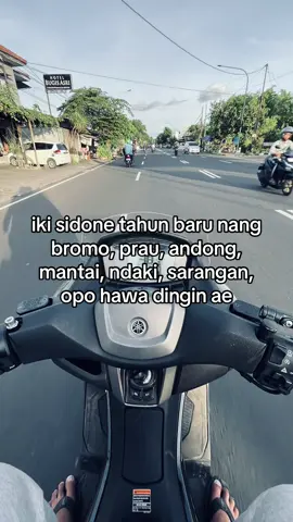 info#fyp #jogja24jam #gondesjogja #gondes #rojaliliar👹 