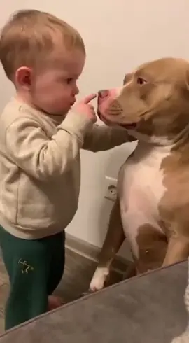 Когда шифруешся от мамы #дети #прикол #fyp #funnyvideos #смешноевидео 