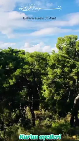 #kurandinle #sureler #ayetokuu #kuranayetleri 