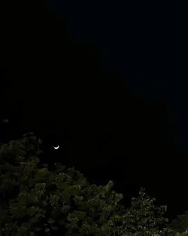 حبيبي علي نياته 😂❤..  .  .  #fyp #vrail #رومانسيه #اكسبلورexplore #جنات 