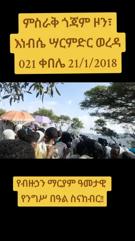 #fouryou #ያለለትተስፋው #ያለለት #viral #vira 