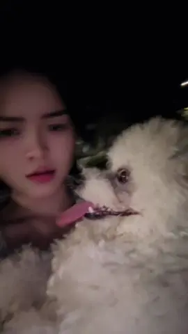 Nhà người ta đang tổ chức tiệc chạy vô kiếm gì trỏng😑