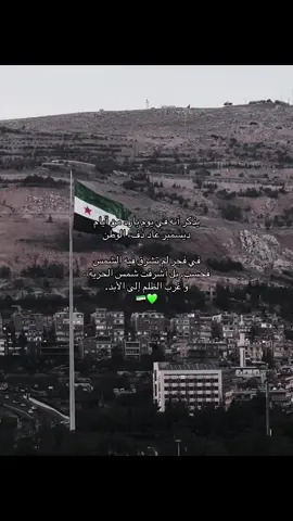 و أتى الإمام بأنامله يمسك المايكروفون و بفيه يسيل كلام تملؤه الحرية.🥹🇸🇾💚 #سوريا #حرية #8december #trend #trending 