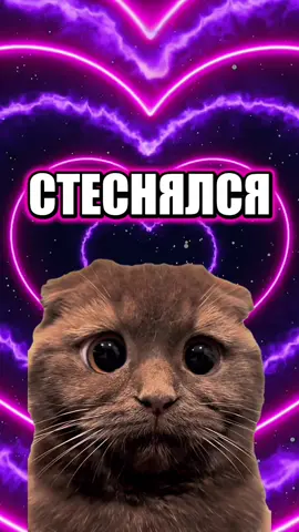 Стеснялся, но теперь всё сказал 😌✨