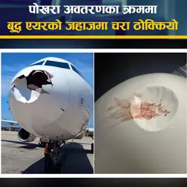 पोखरा अवतरणका क्रममा बुद्ध एयरको जहाजमा चरा ठोक्कियो #pokharatokathmandu #BuddhaAir #birdandplane