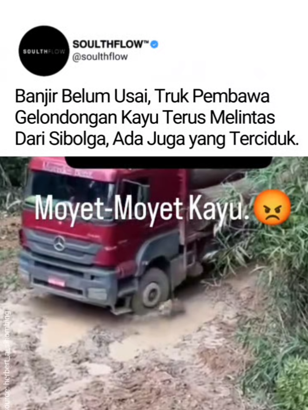 Banjir Belum Usai Terdapati video pertama penebang kayu terlihat mengejek karena lolos membawa kayu muatan ribuan ton. Video ke 2 & 3, Sebuah mobil berukuran besar terlihat mengangkut kayu gelondongan berdiameter sangat besar melintas di Jalan Parapat, depan SPBU, Sabtu (28/11/25). Kayu-kayu ini disebut berasal dari kawasan hutan di Sibolga-Tapteng, Sumatera Utara, daerah yang baru saja dilanda banjir besar. Pemandangan ini memicu keprihatinan warga, mengingat duka akibat bencana belum sepenuhnya usai. [🎥: herbert_a_sihombing, bkmedan_] #penebanganpohon #sumaterautara #banjir 
