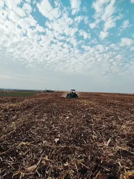 #keşfet #ağaoğulu #karadeniz #tarım @ AĞA OĞLU  