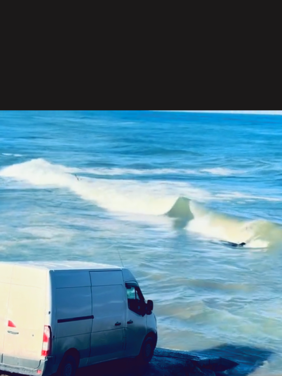 #الجزائر🇩🇿_تونس🇹🇳_المغرب🇲🇦 #العلمة_شان_والهمة_____سطيف🤗🐊، #tiktok #الشعب_الصيني_ماله_حل😂✌️ 