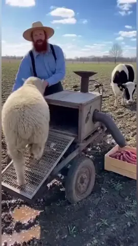 #trending #viralvideo #fyp #growmyaccount #foryou 