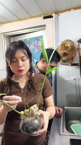 Loai cây yêu thích #cuoimoingay #vochonghaihuoc #fyp #xuhuongtiktok 