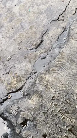 #lewatberandafpy #lewatberanda #Teren #beatkarbu #beatmp7 