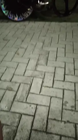 black❗❗ #fixedgearphilippines #fixedgear #fixiecommunity #fyp #foryou 