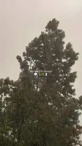 My favourite weather 🌧️💚 #winter #explore #اكسبلورexplore  #weather #rain 