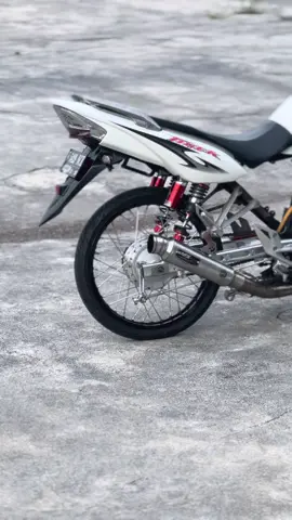 #berkahpaket #tigerberkahpaket #tigeralbino 