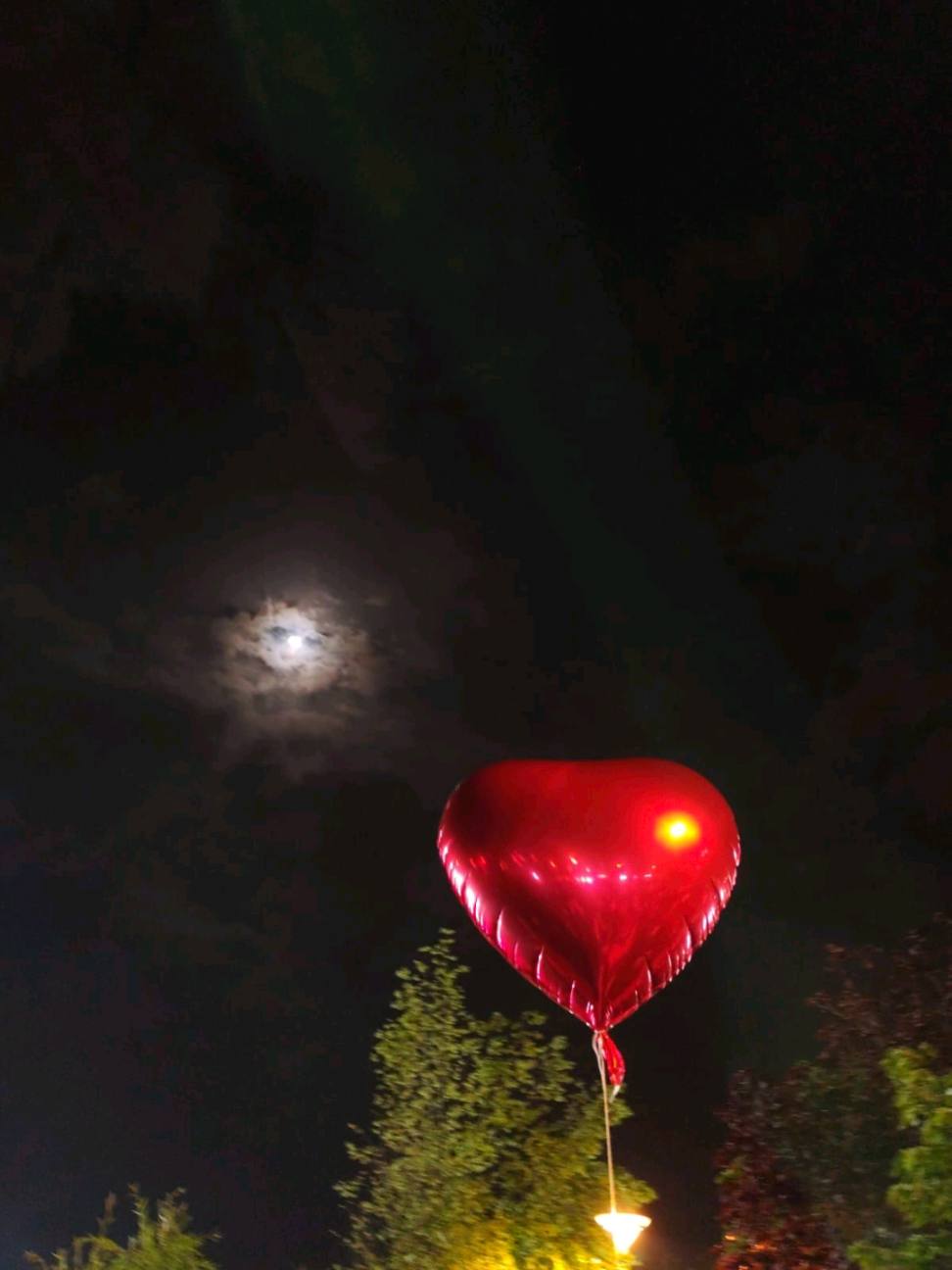 الوداع نومبر  🥺💔  #november #end #viral #Lastnight #statusvideo 