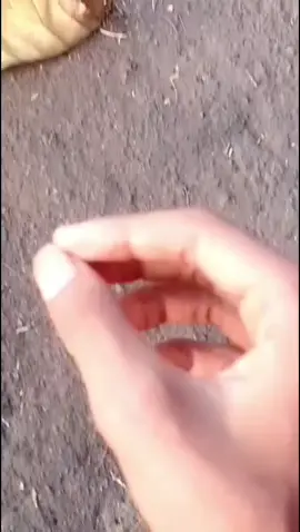 poek ning#sanset #sansetvibes 