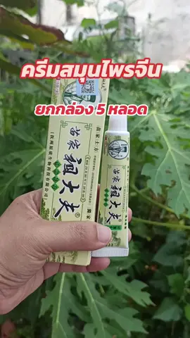 #ครีมสมุนไพรจีน#ครีมผิวหนังแก้คันเนื้อครีมสีชมพู#tiktokshop 