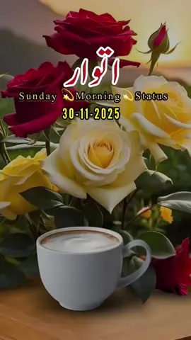 Good Morning,Subah Bakhair صباح الخیرSunday Status🤲❤️.    #goodmorning#foryoupagе#fyp#standwithkashmire#صباح_الخير