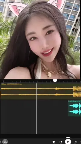 Miaw miaw #đâylàbiệtdanhcủatôi #xuhuong #music #jiafei #jiafeiremix @5.H130 14 @5.H130 14 @5.H130 14 