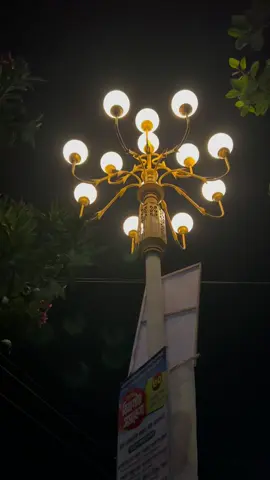 কেউ যত্নে পাথরে ফুল ফুটায়,আর কেউ অযত্নে ফুলকে পাথর বানায়...❤️ #fyuuuuuuuuuuuuuuuuuuu🦋 #viralvideo #rajshahicity #bdtiktokofficial #unfrezzmyaccount 