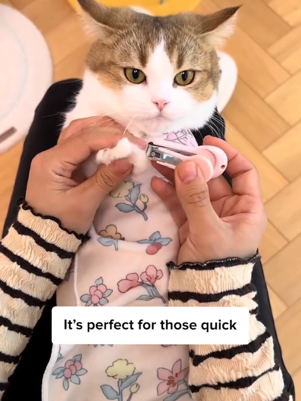 Replying to @tonshie0208 Cat Wrap Cat Cloth Fixed Bag  #fyp #catwrap #cat 