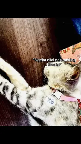 #fyppppppppppppppppppppppp #nilaisemester #bismillahfyp #katakata 