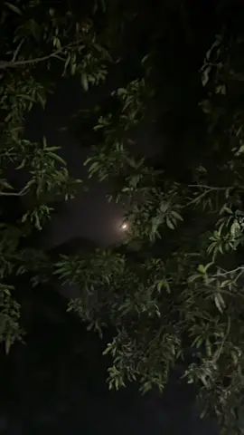 মানুষ বাচেঁ অপেক্ষায়… আর অপেক্ষা বাচেঁ আশায়…!😅❤️‍🩹   #fyp #foryou #moon_lover_29 #videography #moon 