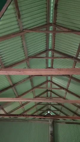 নয়া বাড়ি লইয়া বন্ধু#trnding #foryoupage #trending #fpr #foryou @Nusrat Jahan Nupur 