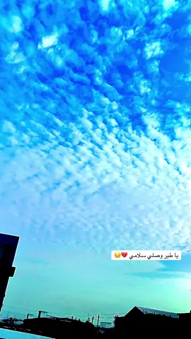 #تصويري_احترافي_الاجواء👌🏻🕊😴 #موال_طارق_لهليجي_موال_حزين_عراقي #مالي_خلق_احط_هاشتاقات #تصاميم_فيديوهات🎵🎤🎬 #اكسبلور_تيك_توك 