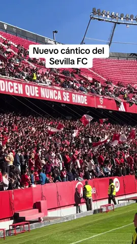 Nuevo cántico #deportesentiktok #sevillafc #betis #elgranderbi 