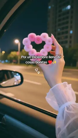 Por un Diciembre lleno de cosas bonitas y nuevos comienzo #❤️ #♥️ #✨ #🦋 #💫 🌻🥰🥰🥰