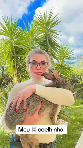 #pet #coelho 