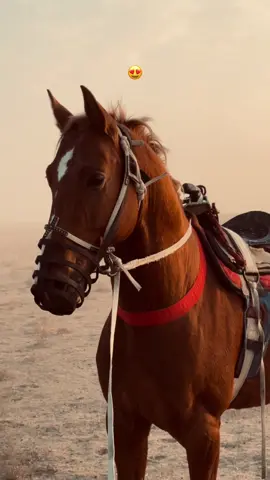 #fyp #ab1ldaevv #рекомендации #rec 